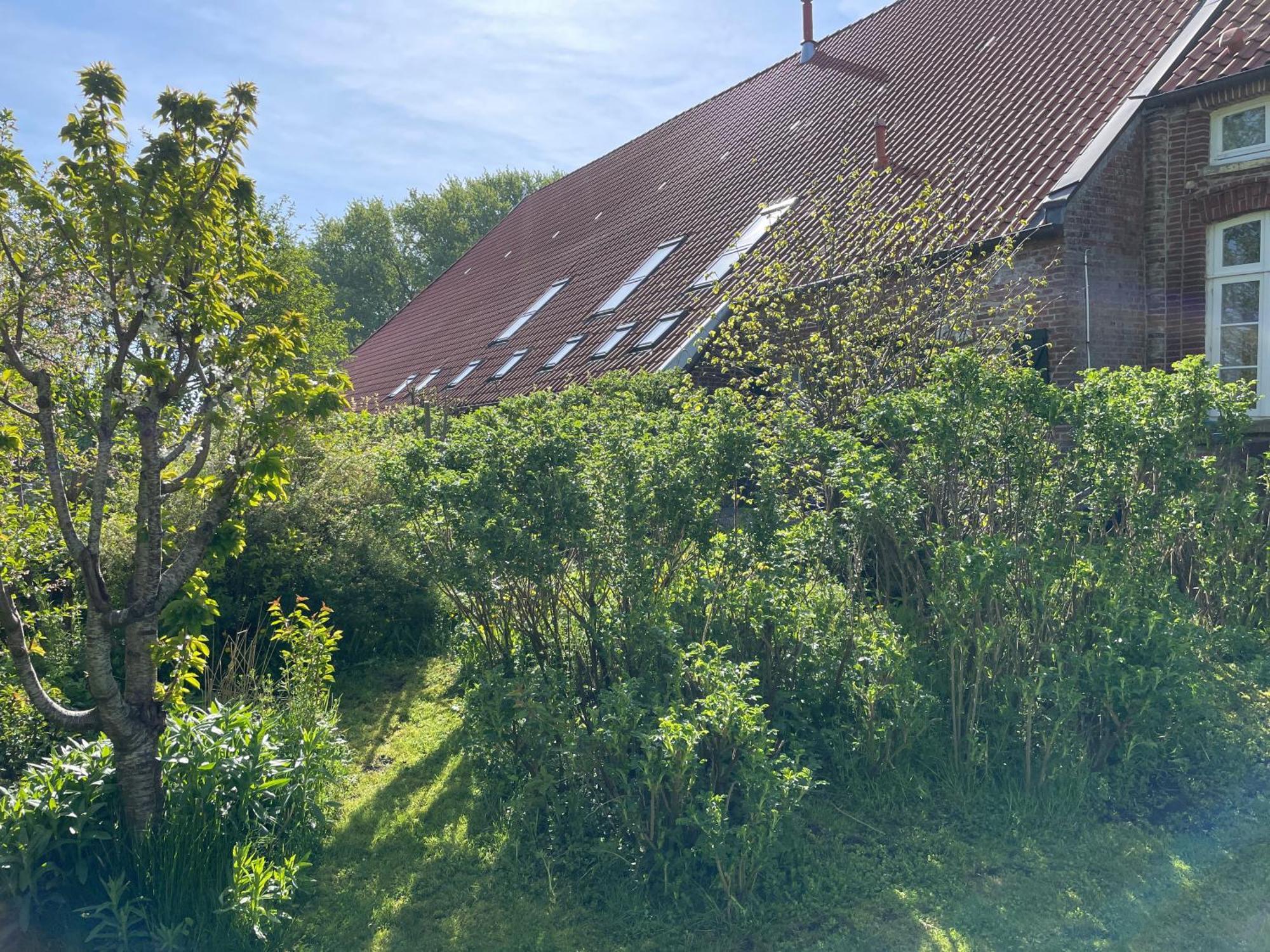 Ferienhof Spiegelhaus Krummhörn エクステリア 写真