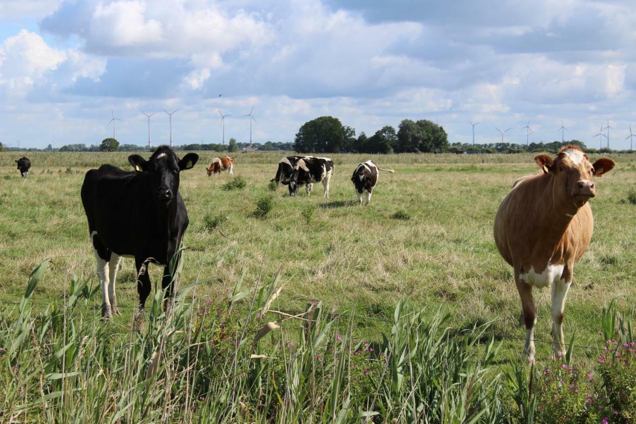 Ferienhof Spiegelhaus Krummhörn エクステリア 写真